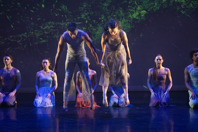 As a group of dancers sit meditatively in front of a projection of green forestry, two dancers wearing tight tops and flowy sheer pants jump away from the ground as they look down at it.