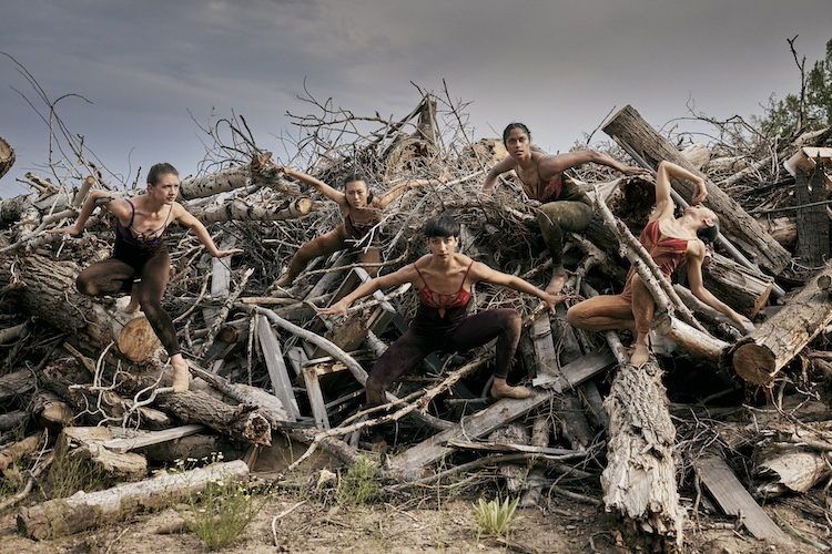 a chorus of menacing looking women wearing velvet earth colored unitards. The picture is taken outside and the women are placed staring out at us a top a huge pile of broken tree trunks and downed branches.