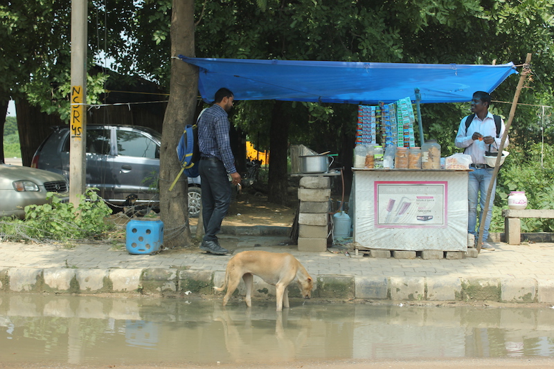 Two men talk under a make-shift tent that houses a fruit stand. A dog drinks from a flooded street.