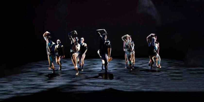 Amanda Selwyn Dance Theatre Announces Rooted & Rising 26th Season Gala
