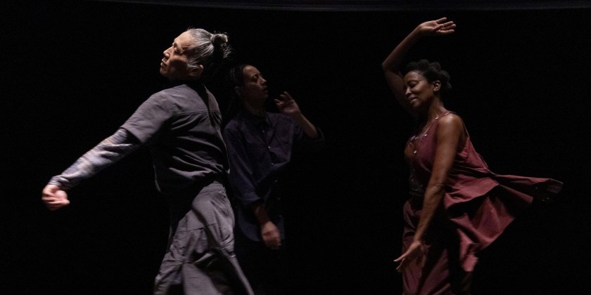 IMPRESSIONS: Wanjiru Kamuyu's "Fragmented Shadows" at New York Live Arts presented with L’Alliance New York’s Crossing the Line Festival 