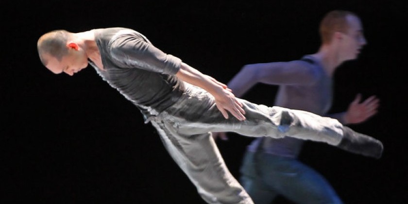 Shen Wei Dance Arts