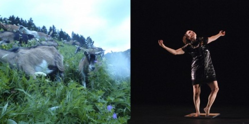 "Crossing Boundaries" at Dixon Place