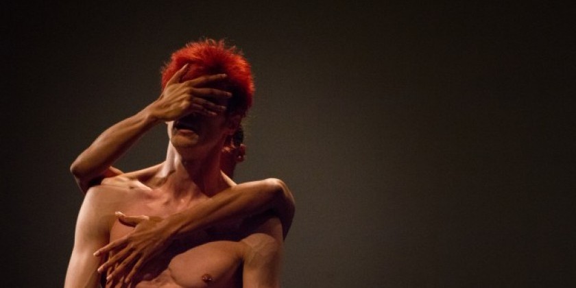 "Translate (voices of dance)" at Dixon Place