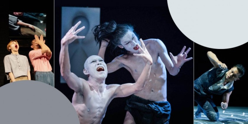 Japan Society presents “Contemporary Dance Festival: Japan + East Asia” 