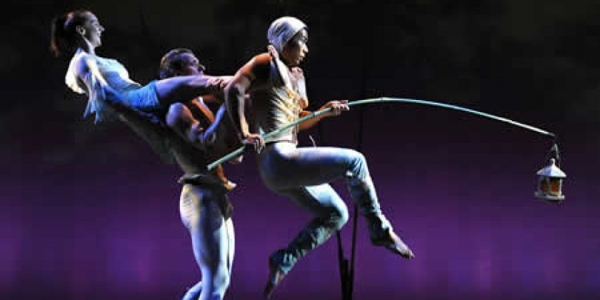 Pilobolus