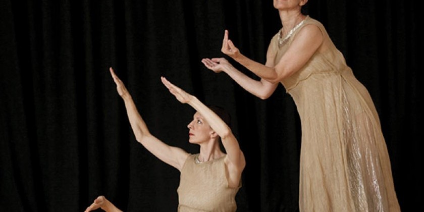 FROM A FIREFLY'S EYE