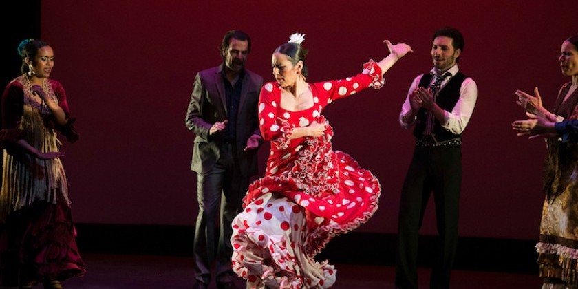 TDE Asks Carlota Santana of Flamenco Vivo about the Company’s Upcoming BAM Season