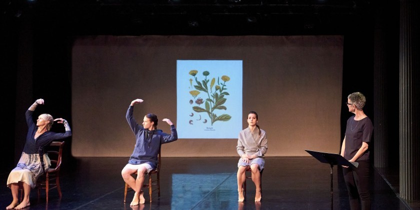 IMPRESSIONS: Hilary Easton's "Ringelblum" at The Theater at Gibney 