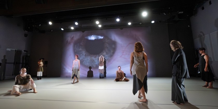 IMPRESSIONS: Ishmael Houston-Jones&rsquo; "OO-GA-La Reimagined" at Danspace Project and Heidi Latsky Dance's "Who Am I Now?" at 92NY