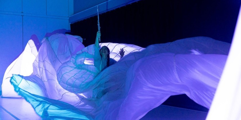 IMPRESSIONS:Ros&aacute;n Sensory Adventures in "Antarctica! Crew Wanted" Lincoln Center, The Big Umbrella Festival 