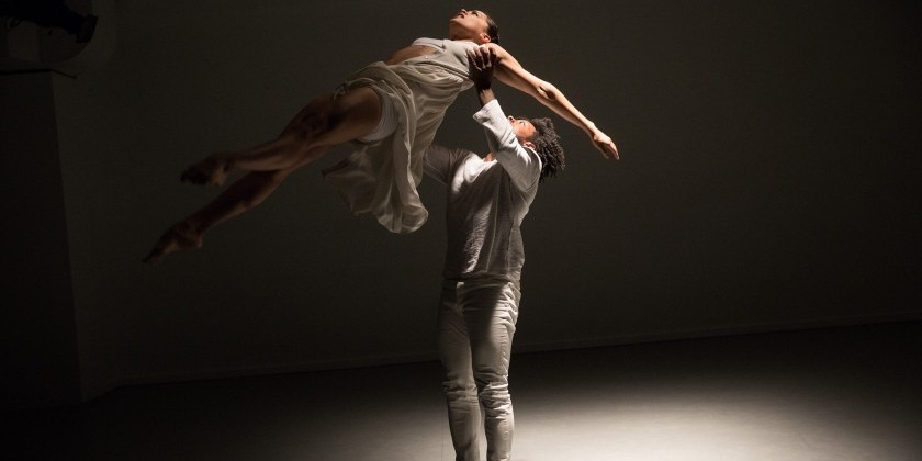 Marketing Manager for Gina Gibney Dance