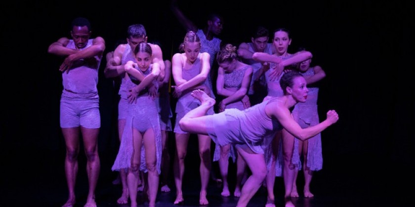 Amanda Selwyn Dance Theatre to be featured in American Dance Guild Performance Festival: Return, Renew, Rejoice!