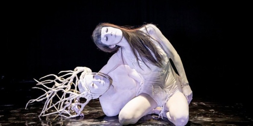 MAN WOMAN Will Premiere at Stephen A. Schwarzman Centre for the Humanities at Oxford University