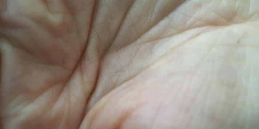 Eleanor Bauer presents "A lot of moving parts"