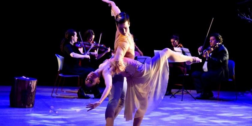 Alison Cook Beatty Dance Audition for Men and Women