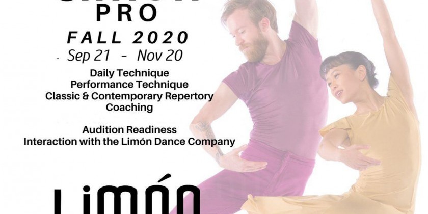 LimónPro/Launch: Professional Training Programs