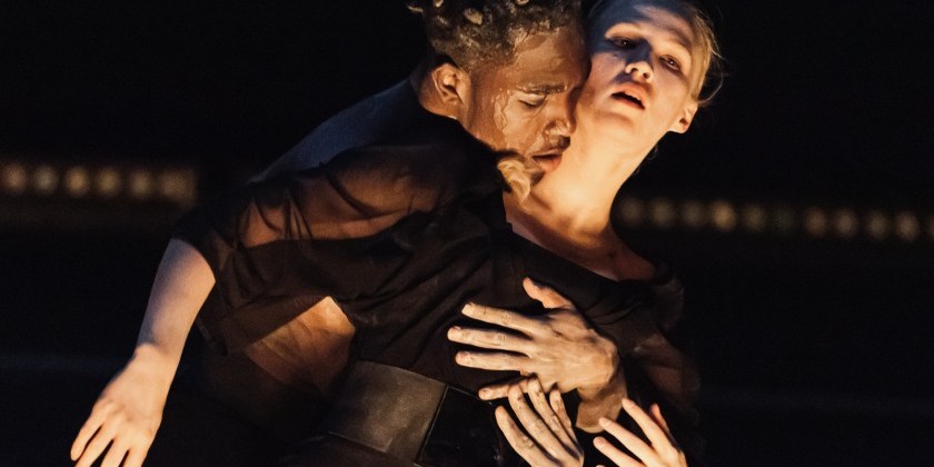GALLIM presents "Why Do We Dance?" at The National Arts Club