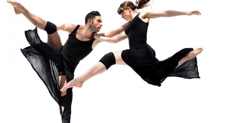 THE DANCE GALLERY FESTIVAL CELEBRATES 10TH ANNIVERSARY