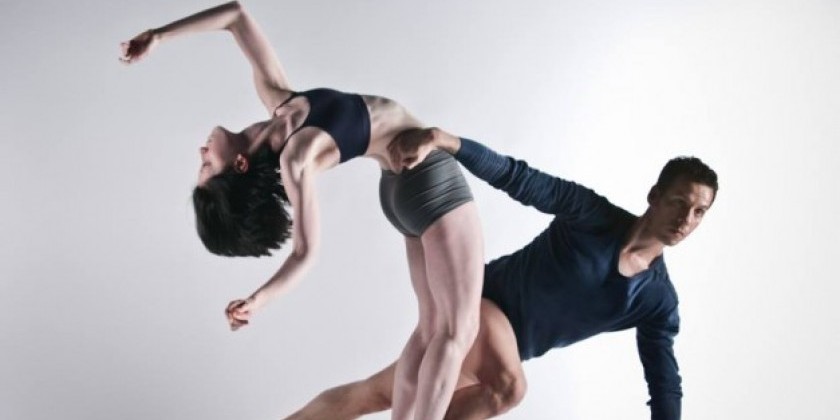 DEADLINE EXTENSION: The Dance Gallery Festival's 10 Anniversary Season