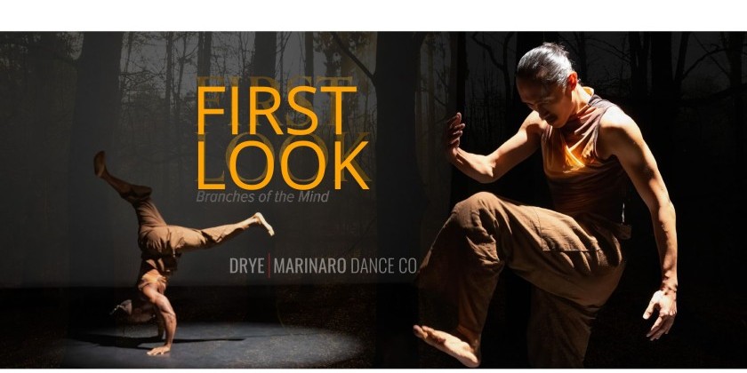 First Look: Branches of the Mind