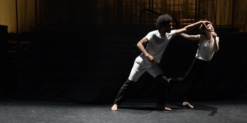 Impressions of Danaka Dance's “Thousand Plateaus”