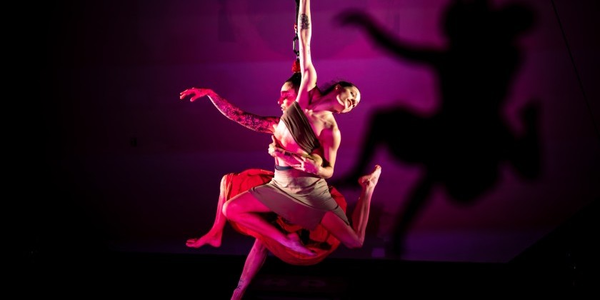 Egg, and How I Learned To Save Myself