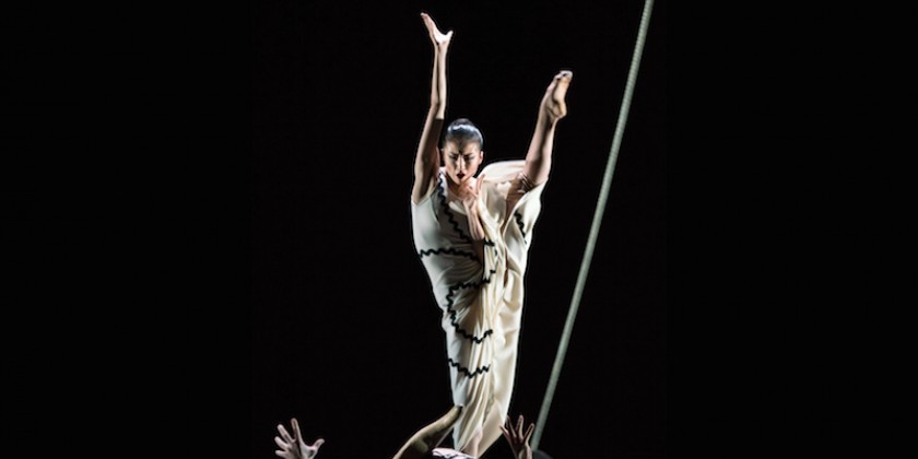 Guest Writer Blakeley White-McGuire Stages Martha Graham's "Errand Into the Maze" at the Semperoper in Dresden, Germany
