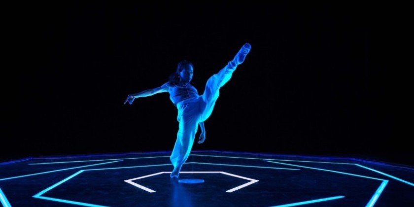 When Less Is Everything: 'Origami Night' Unfolds in the Dark