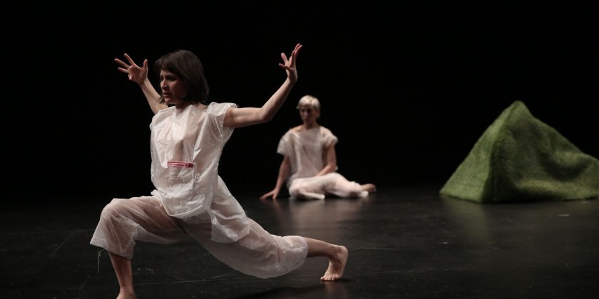  A Dance Garden Sprouts in Chelsea with Christopher “Unpezverde” Núñez 