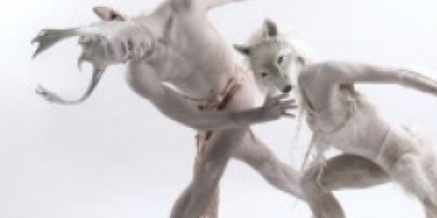 Christopher Williams Curates: Pedigree Perigee Apogee