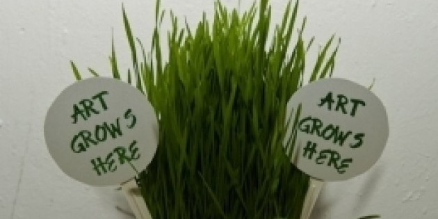 Summer at the Field!