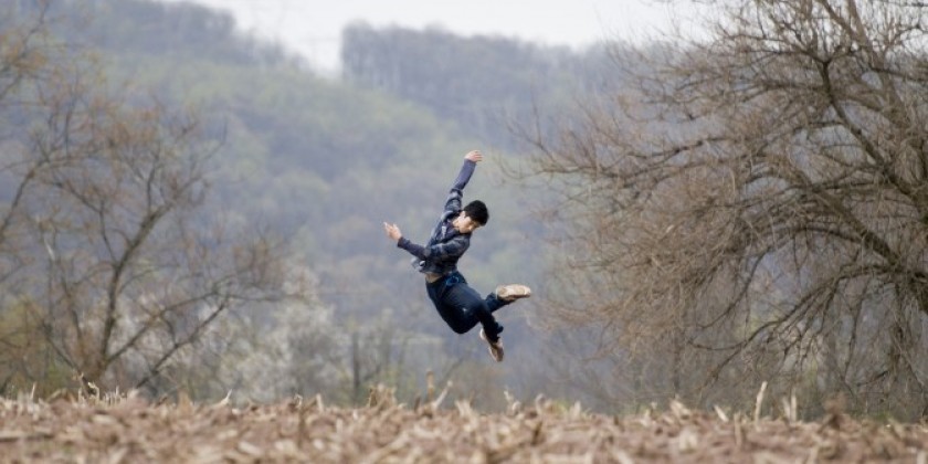 2013 Dancenow Joe's Pub Festival
