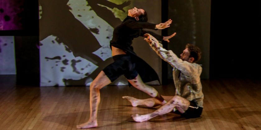 IMPRESSION: Sally Silvers & Dancers in "Pandora’s New Cake Stain" at Roulette Intermedium, a 40th Anniversary Season Special