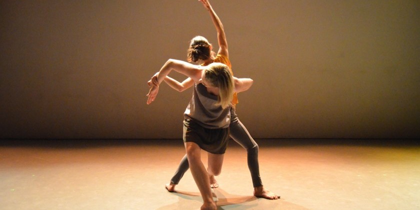 Apply now for the Summer Shake-Up at Triskelion Arts