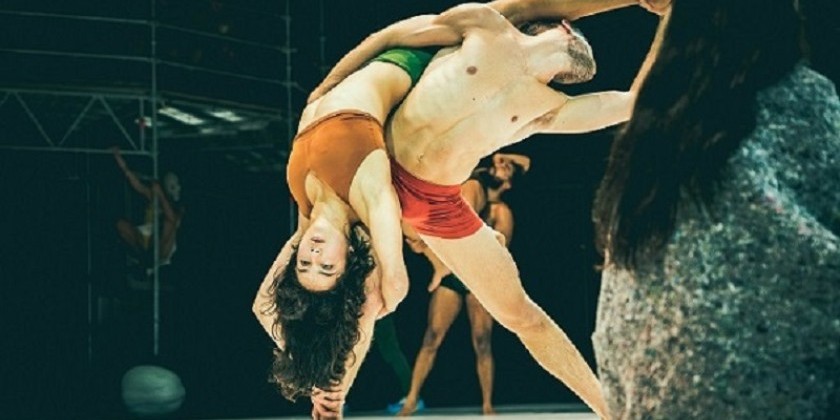TANZ_KASSEL is in search of contemporary dancers as of season 2026/27