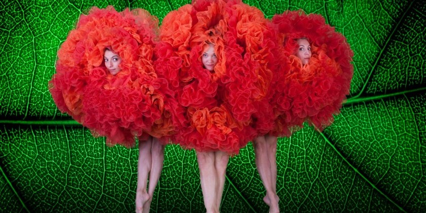 "Viva Momix", a Collection of Greatest Hits by MOMIX