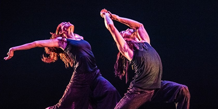 Cuba Festival: Malpaso Dance Company