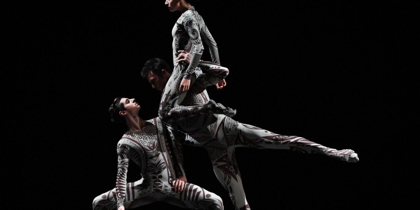 IMPRESSIONS: APAP Showcase at Peridance Capezio Center