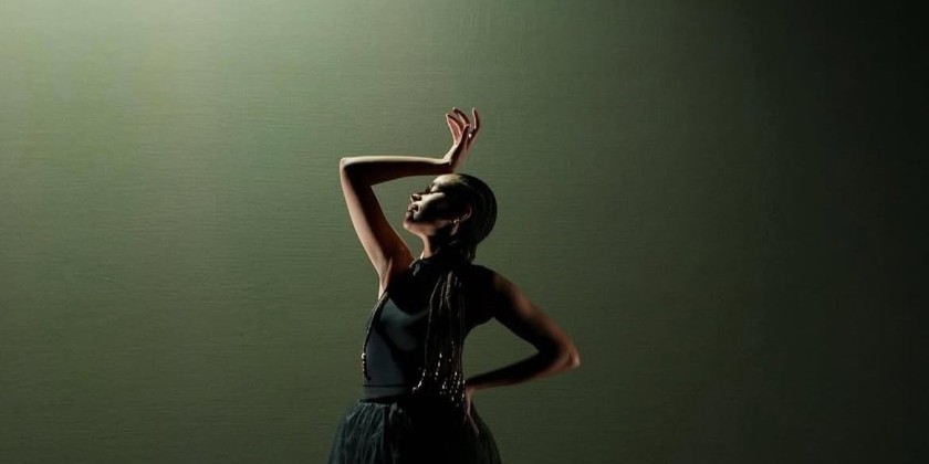 Stefanie Nelson Dancegroup presents Everyone Dance, Spring 25 Featuring AHRC NYC dancers