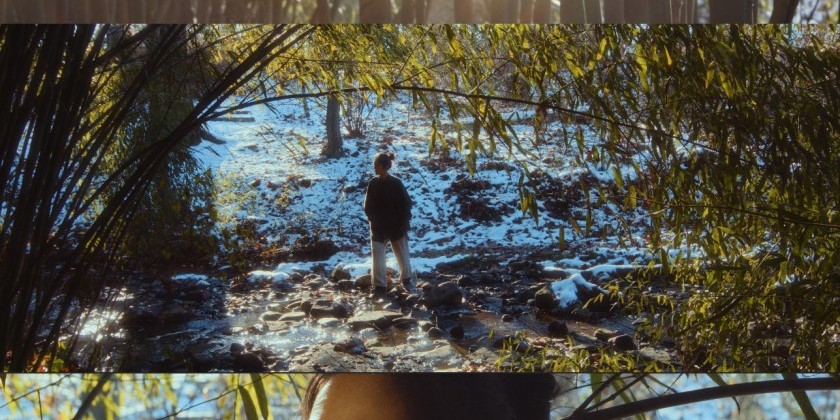 A Quiet Longing | 寄兴园记 by Yiran Shu at the New York Shorts International Film Festival 2025 