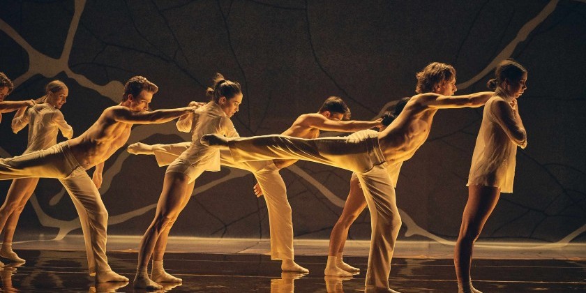 IMPRESSIONS: Australia Festival at the Joyce Theater with The Australian Ballet, Australian Dance Theatre, and Dancenorth