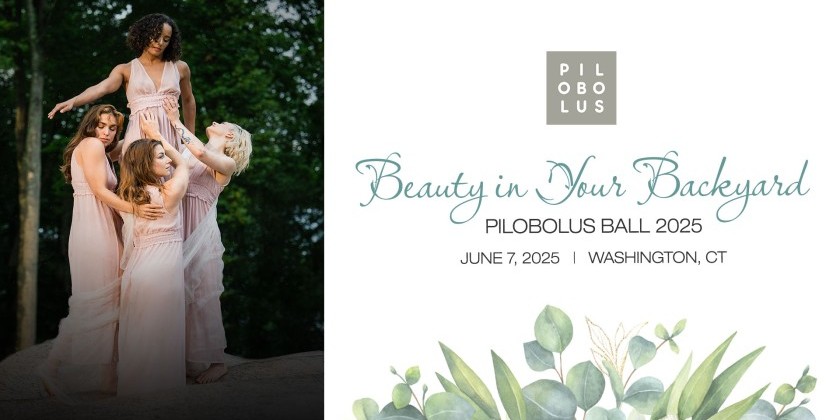 Beauty in Your Backyard: Pilobolus Ball 2025