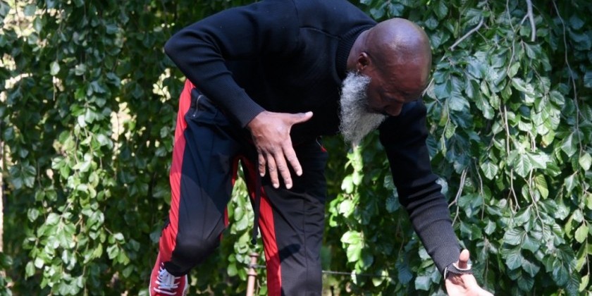 Pentacle Curates Dance at the Brooklyn Botanic Garden