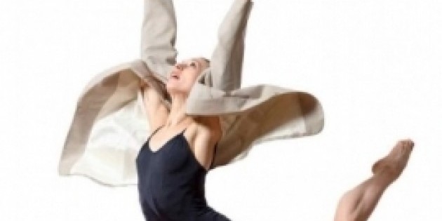 ADG Festival 2013: Call for Choreography - Correction!