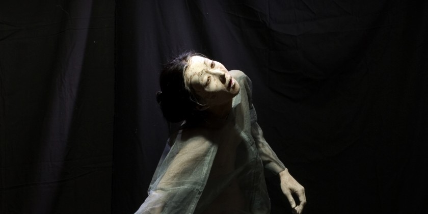 Vangeline Theater/NY Butoh Institute i+ Triskelion Arts present... Moeno Wakamatsu's "Hitohana Hitosekai"