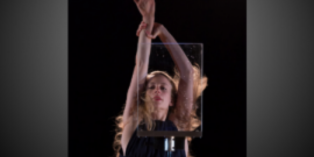 Susan Marshall Summer Workshops