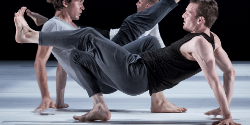 MONTCLAIR, NJ: Liz Gerring presents "Field"