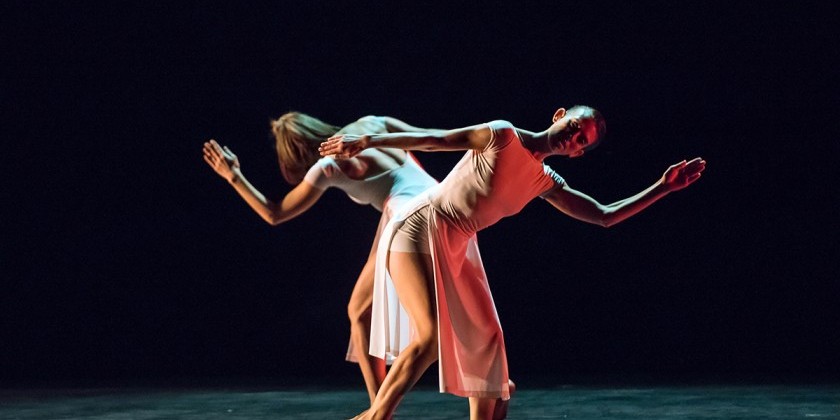 Trisha Brown Dance Company streams a new "You Can See Us"