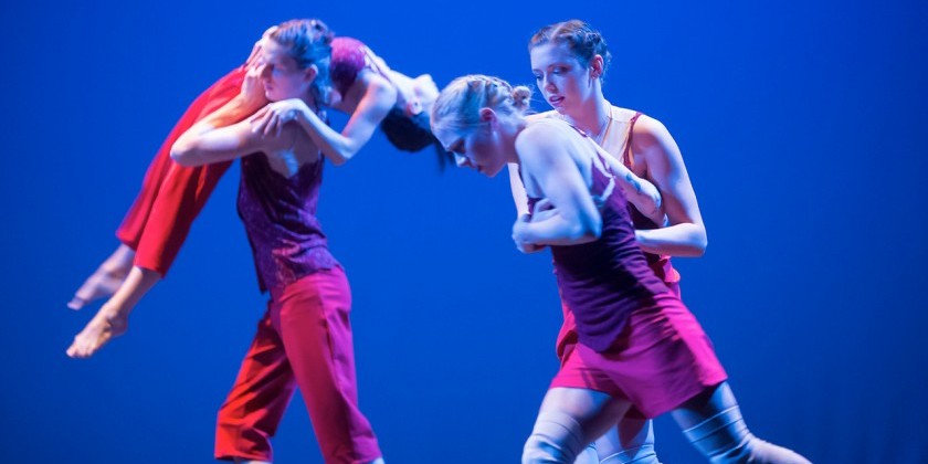 Split Bill at Triskelion Arts: Emily Climer, Zehnder Dance, VALLETO and Joan Bradford